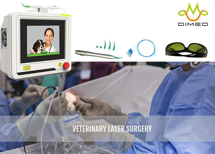 Laser Surgery Speeds Healing_ Oral_dental surgery_ Spays